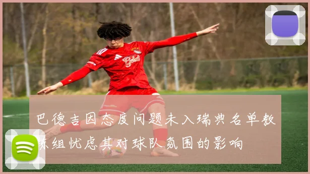 巴德吉因态度问题未入瑞典名单教练组忧虑其对球队氛围的影响