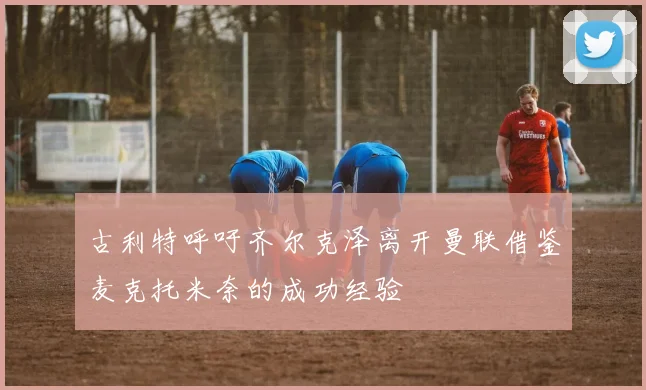 古利特呼吁齐尔克泽离开曼联借鉴麦克托米奈的成功经验